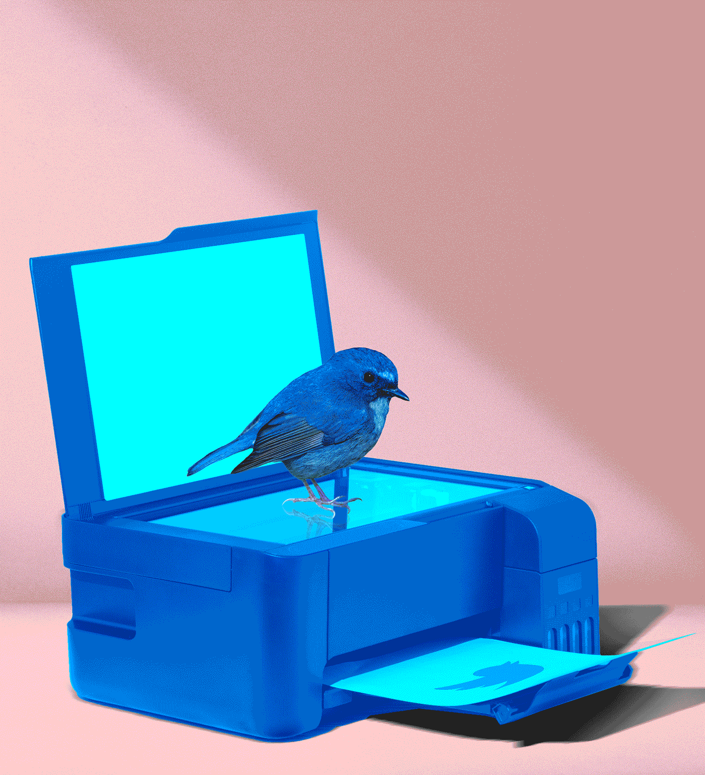 Copy and Kill: The Ex-Tweeps Hatching a Plan to Knock Off Twitter