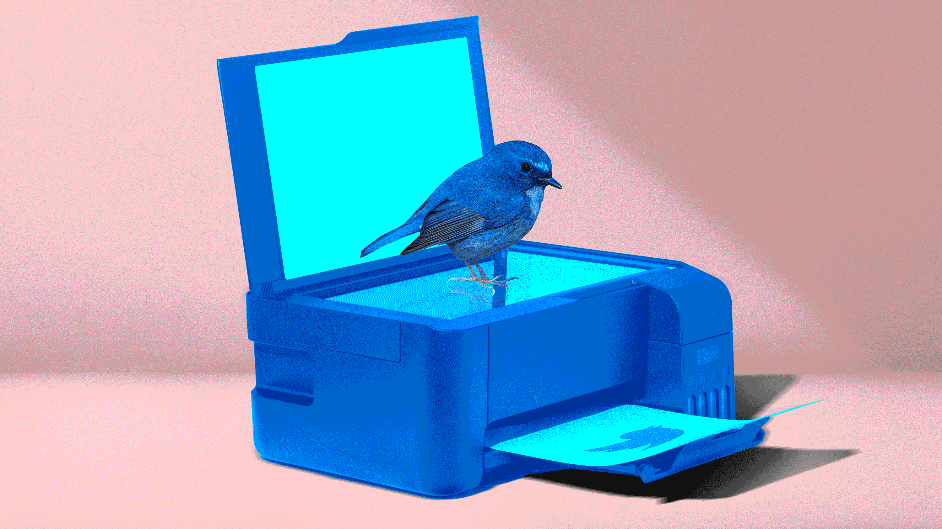 Revenge of the Social Media Clones