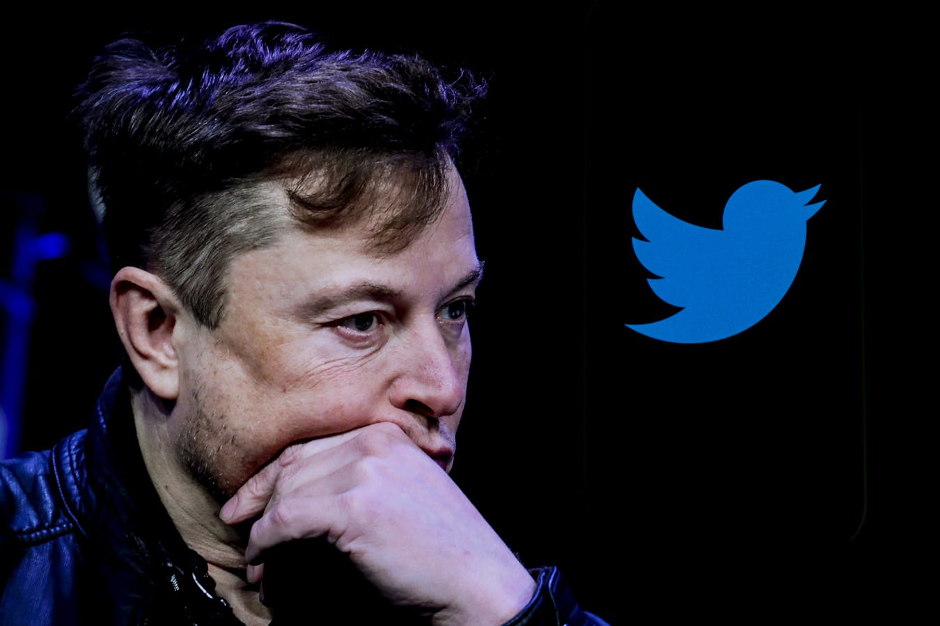 Twitter CEO Elon Musk told employees early Saturday they were welcome to subscribe to creators "and expense that back to the company.” Photo by Getty.