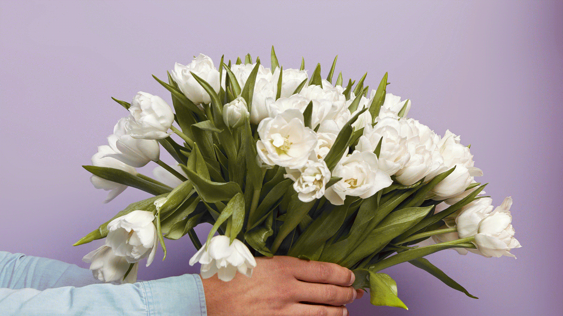 Art by Clark Miller.