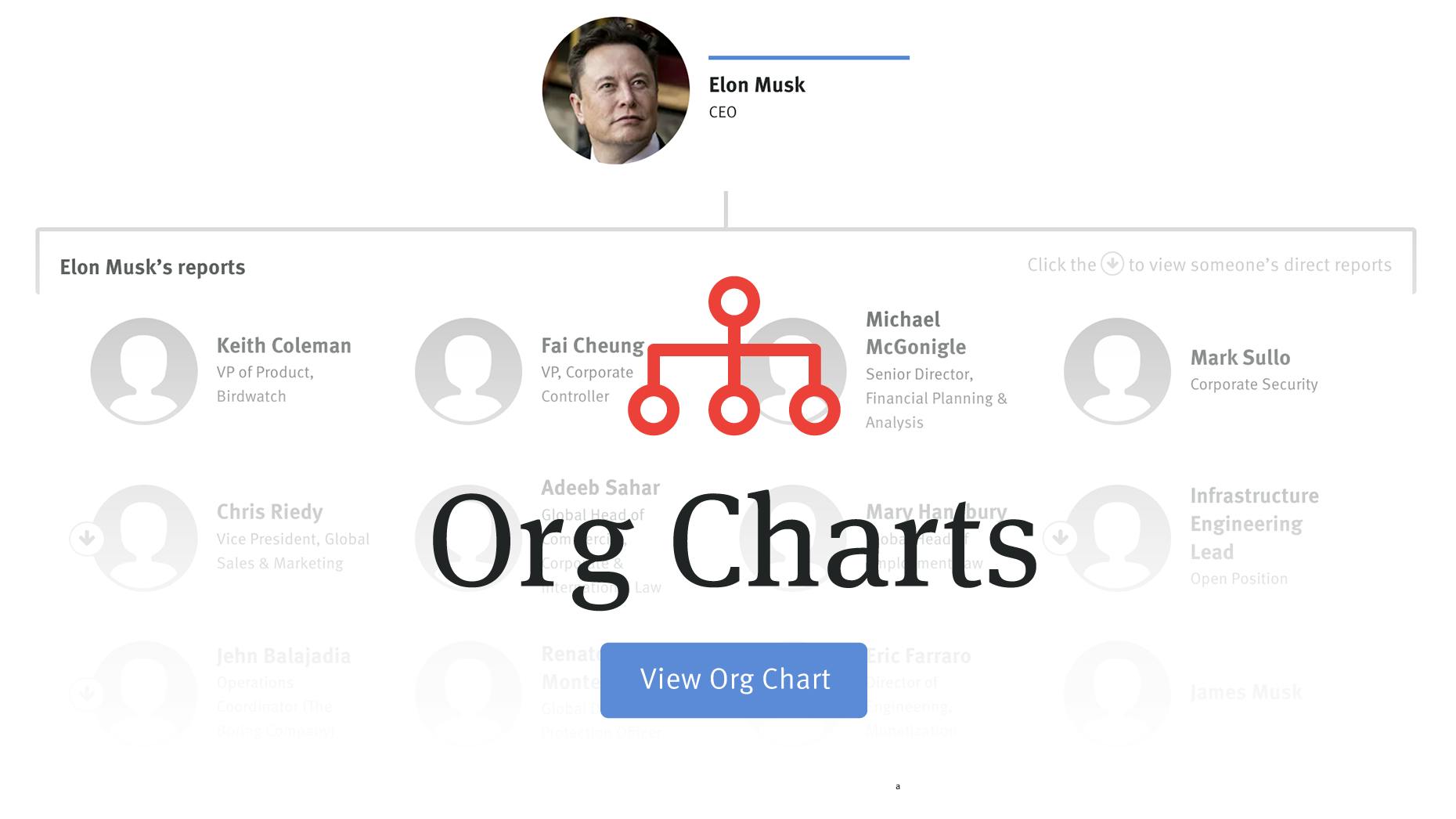 Twitter Org Chart Shows the 120 Leaders Musk’s New CEO Inherits