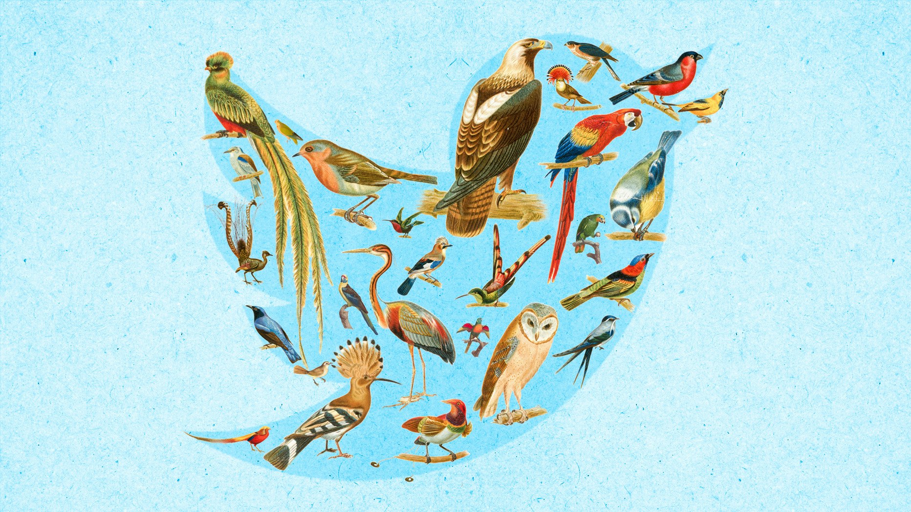 Art by Clark Miller.