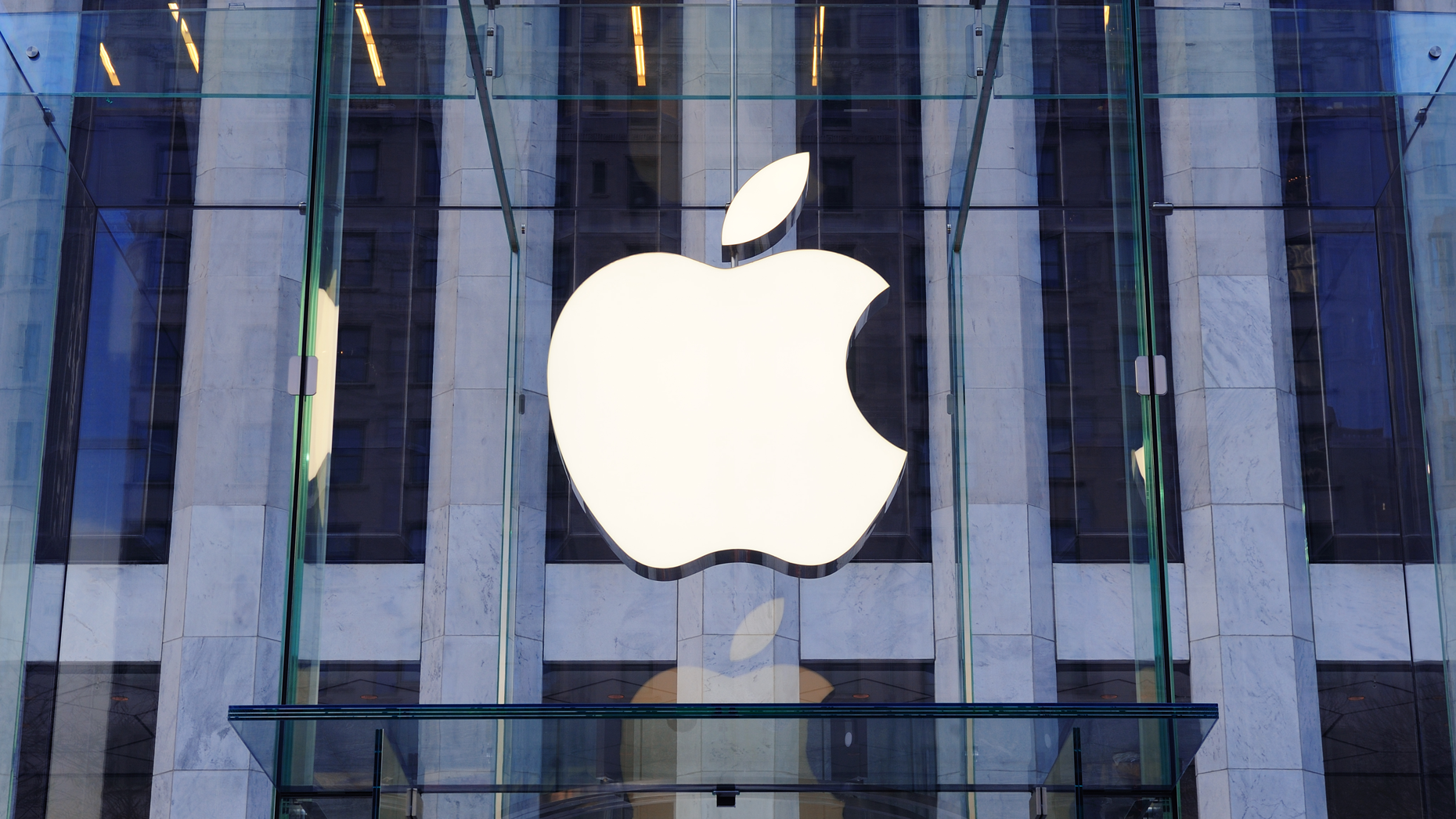 Photo by Shutterstock.