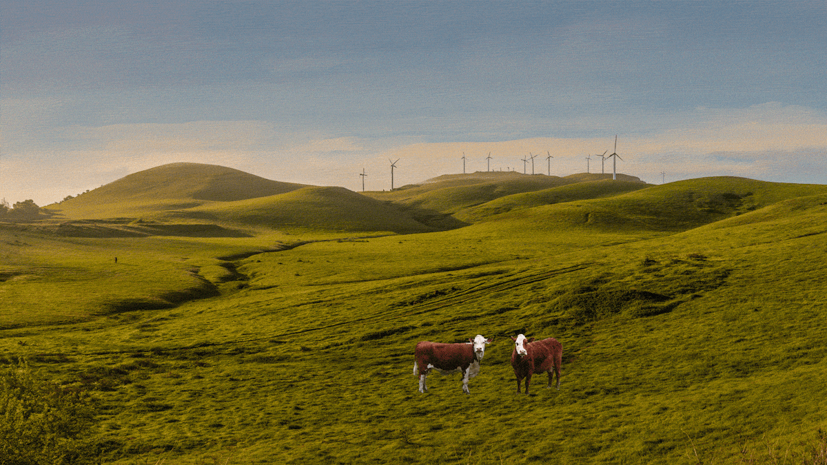 California Scheming: Nine Unsolicited Design Ideas for the Secret City of  Solano County — The Information