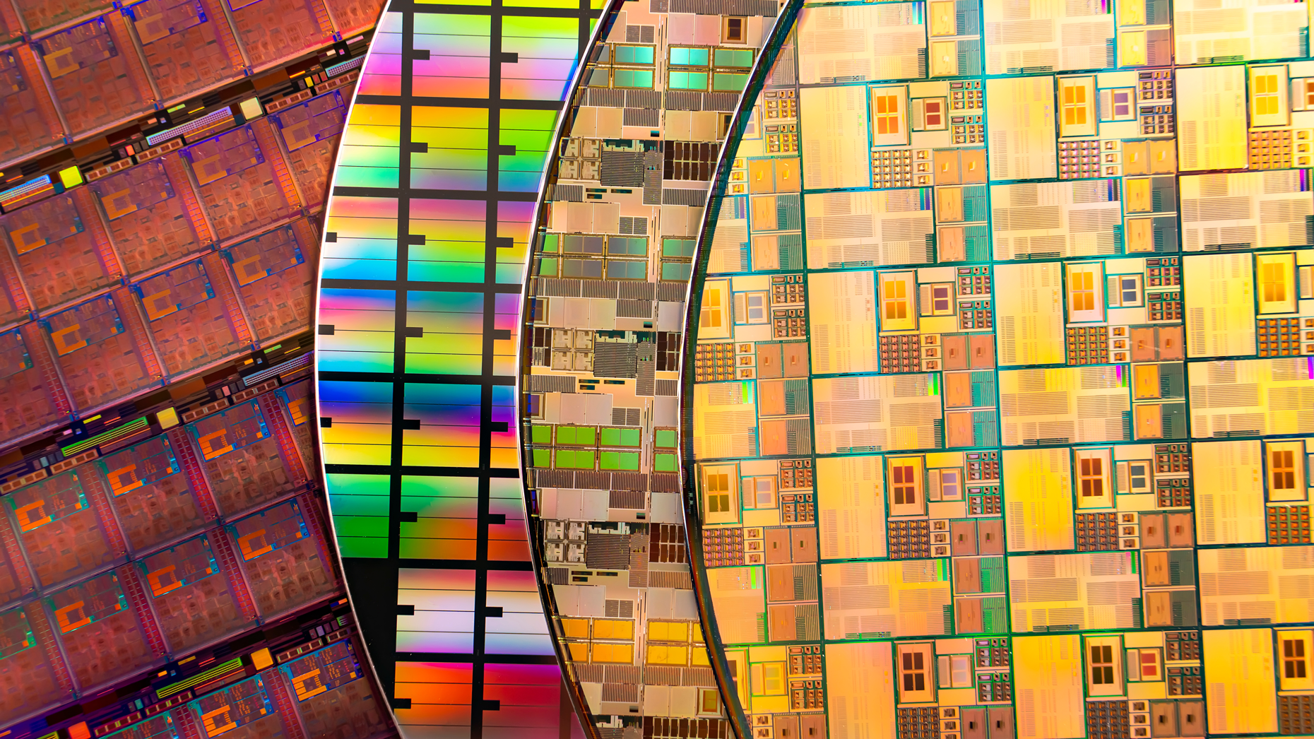 Photo via Adobe Stock.