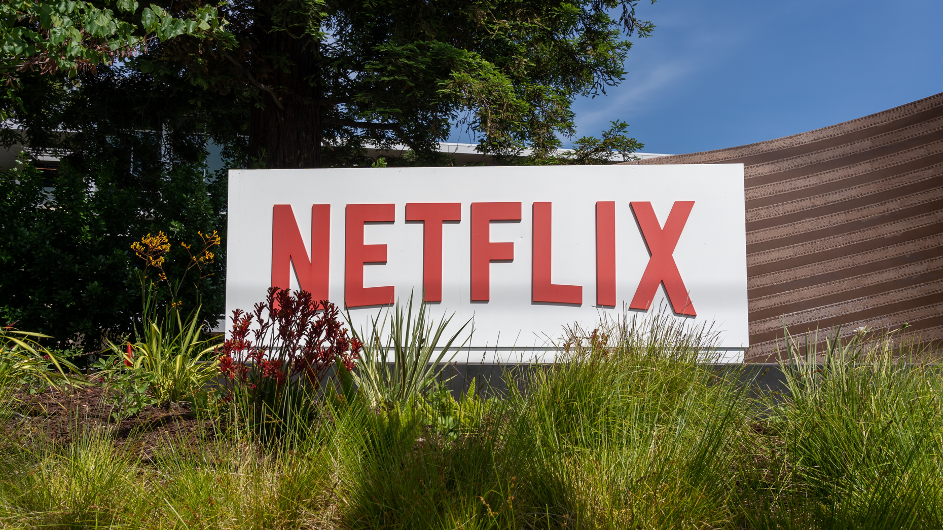 Photo via Shutterstock