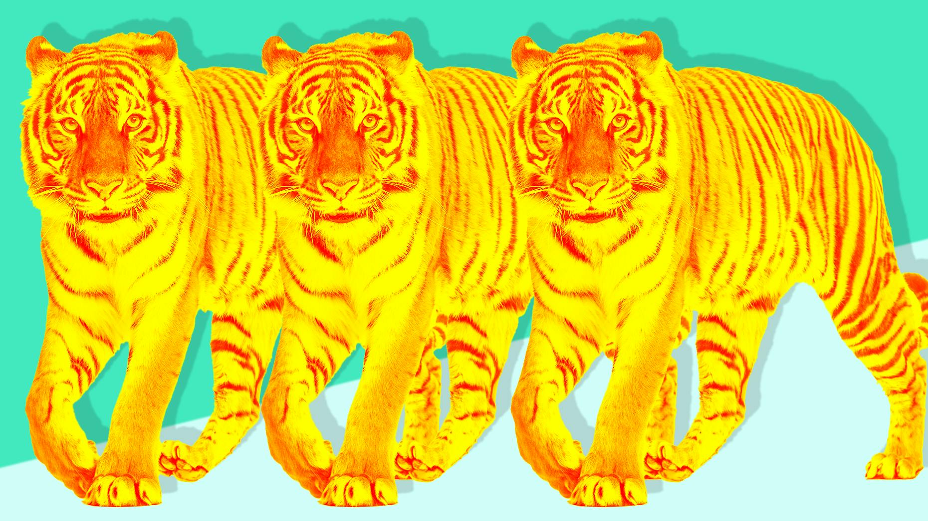 Tiger Global Investor Relations Staff Depart After Fundraising Challenges —  The Information