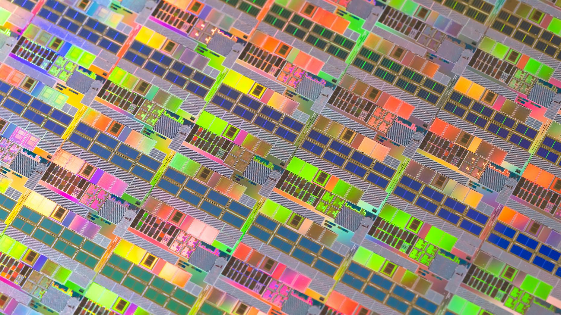 Pro Weekly: The Founders Challenging Nvidia