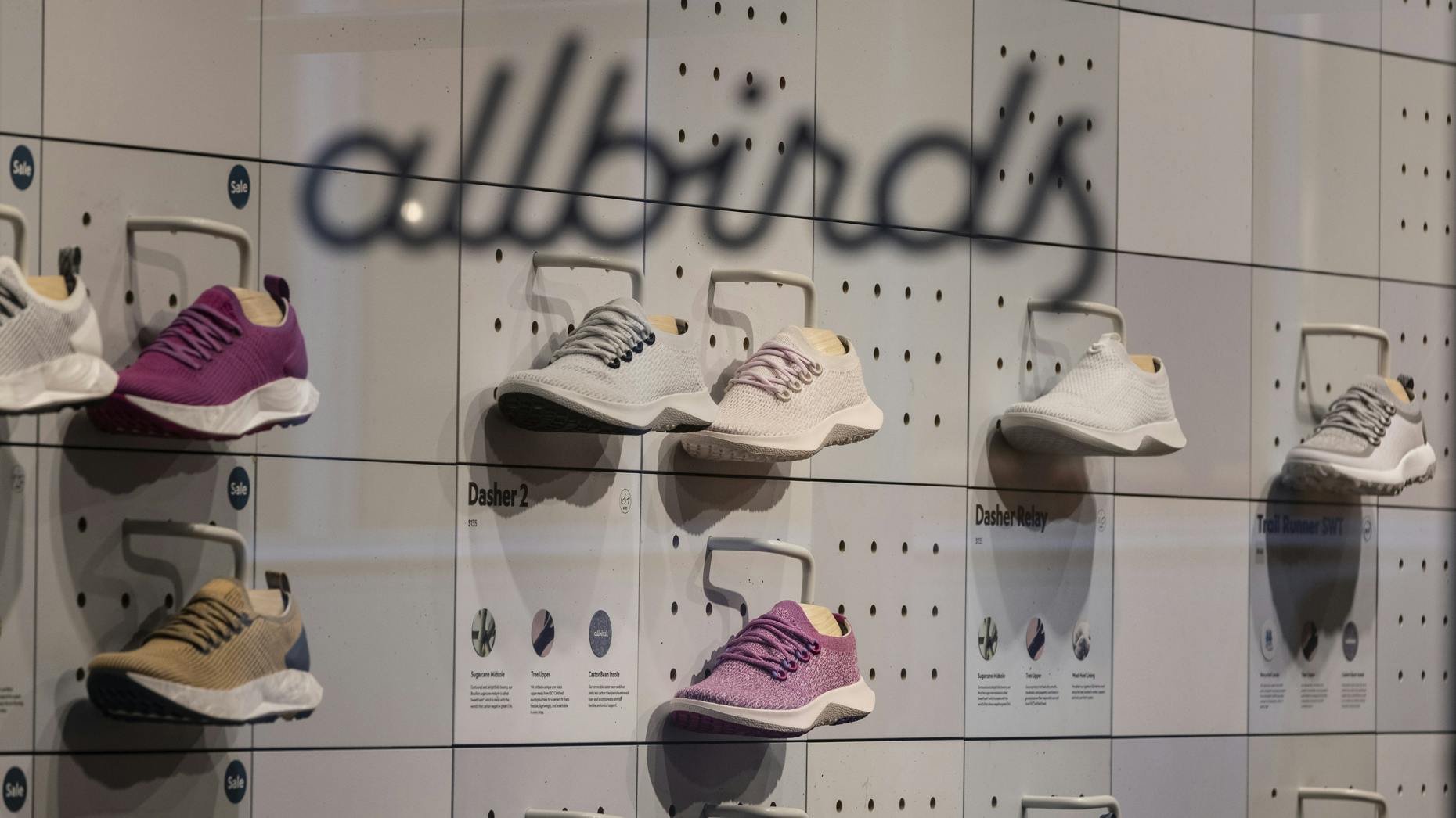 Another Joe Takes Reins at Allbirds Latest on TikTok The Information