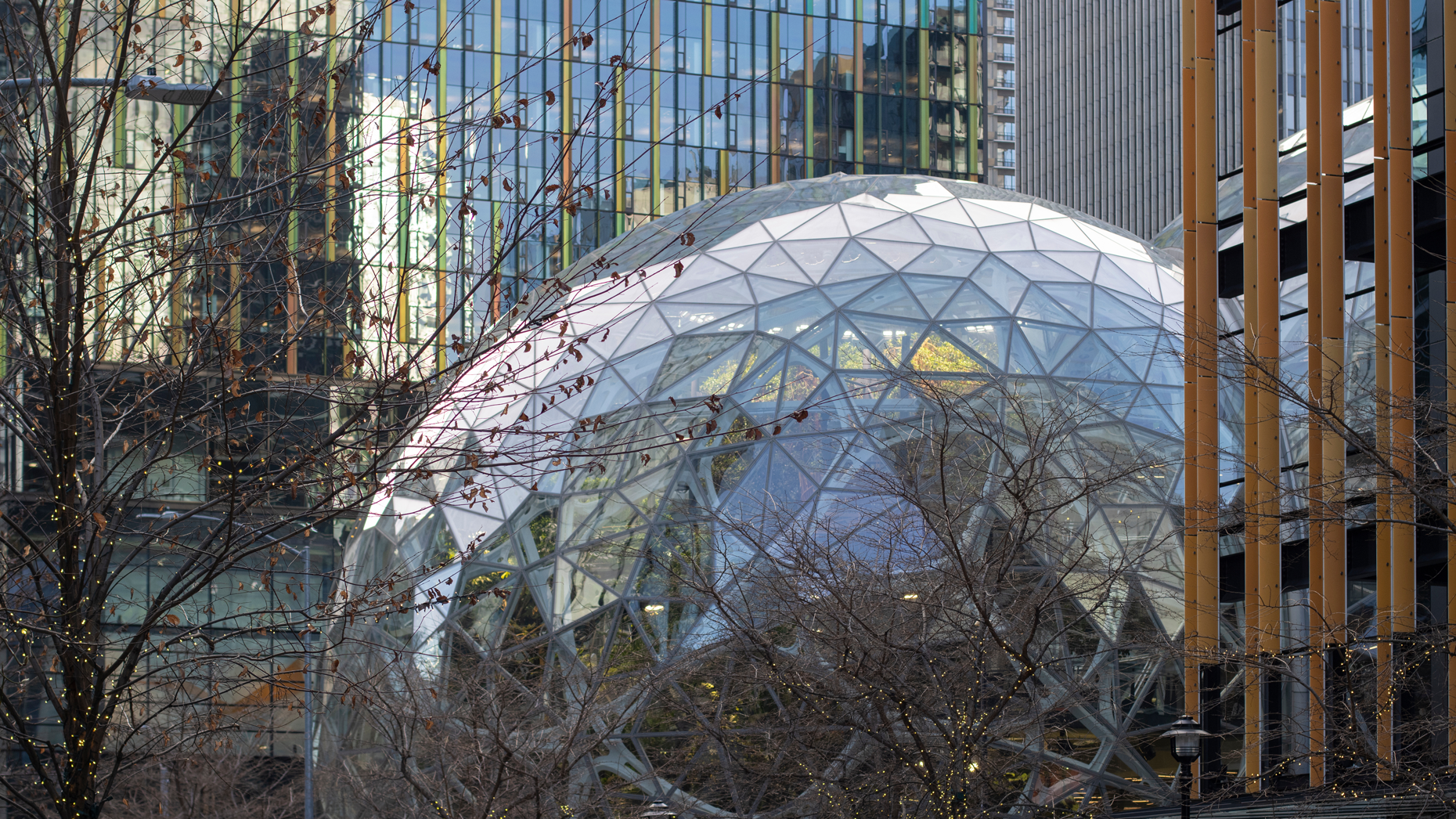 Photo by Tada Images/Adobe Stock.