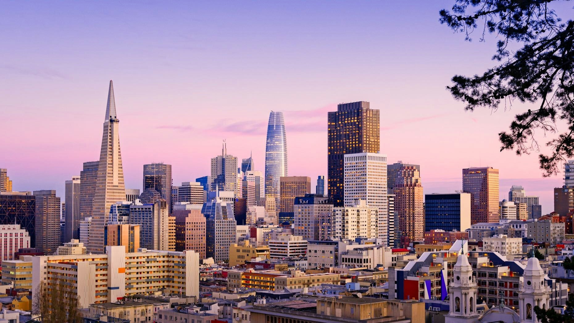 Photo by Thomas Wire via Getty Images.