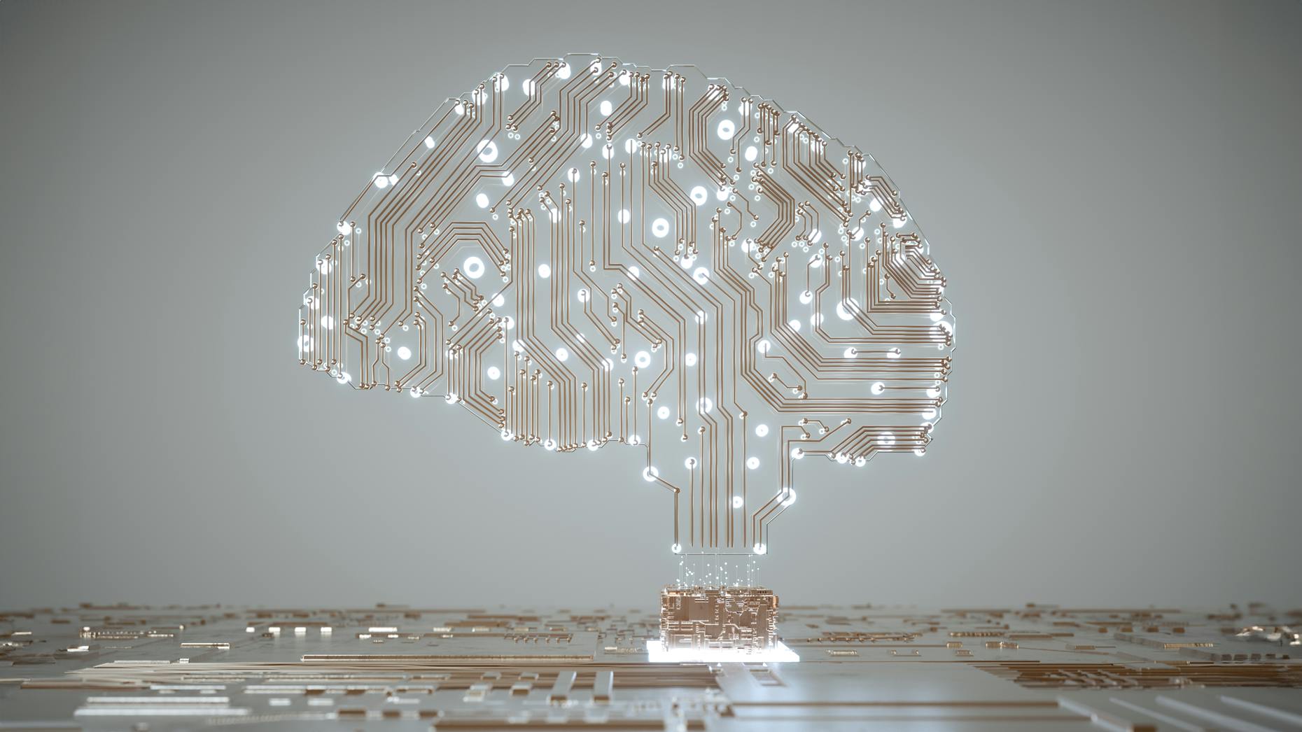 The Startups Helping Businesses Decode AI Decisions