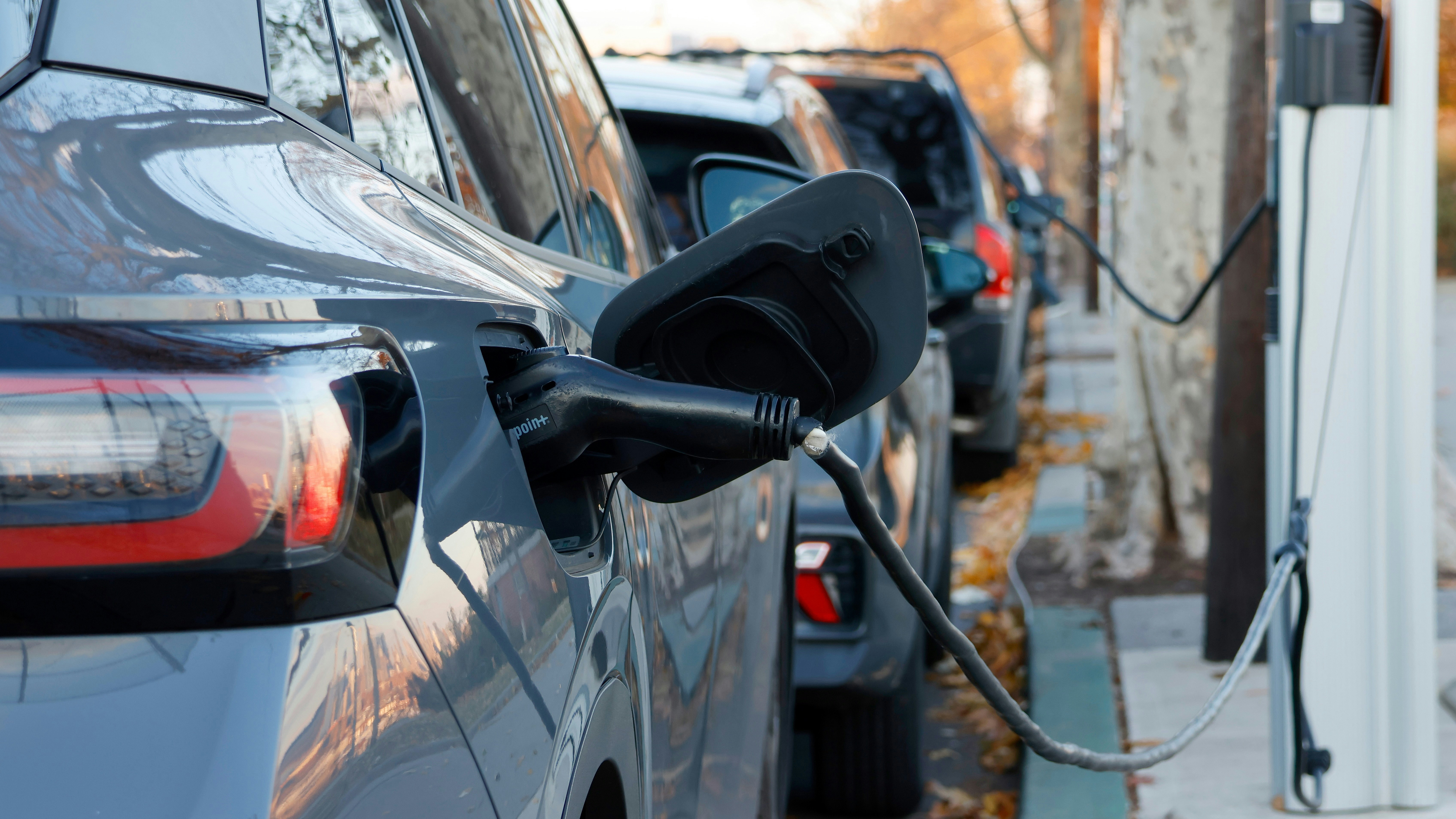 Photo by Gary Hershorn via Getty