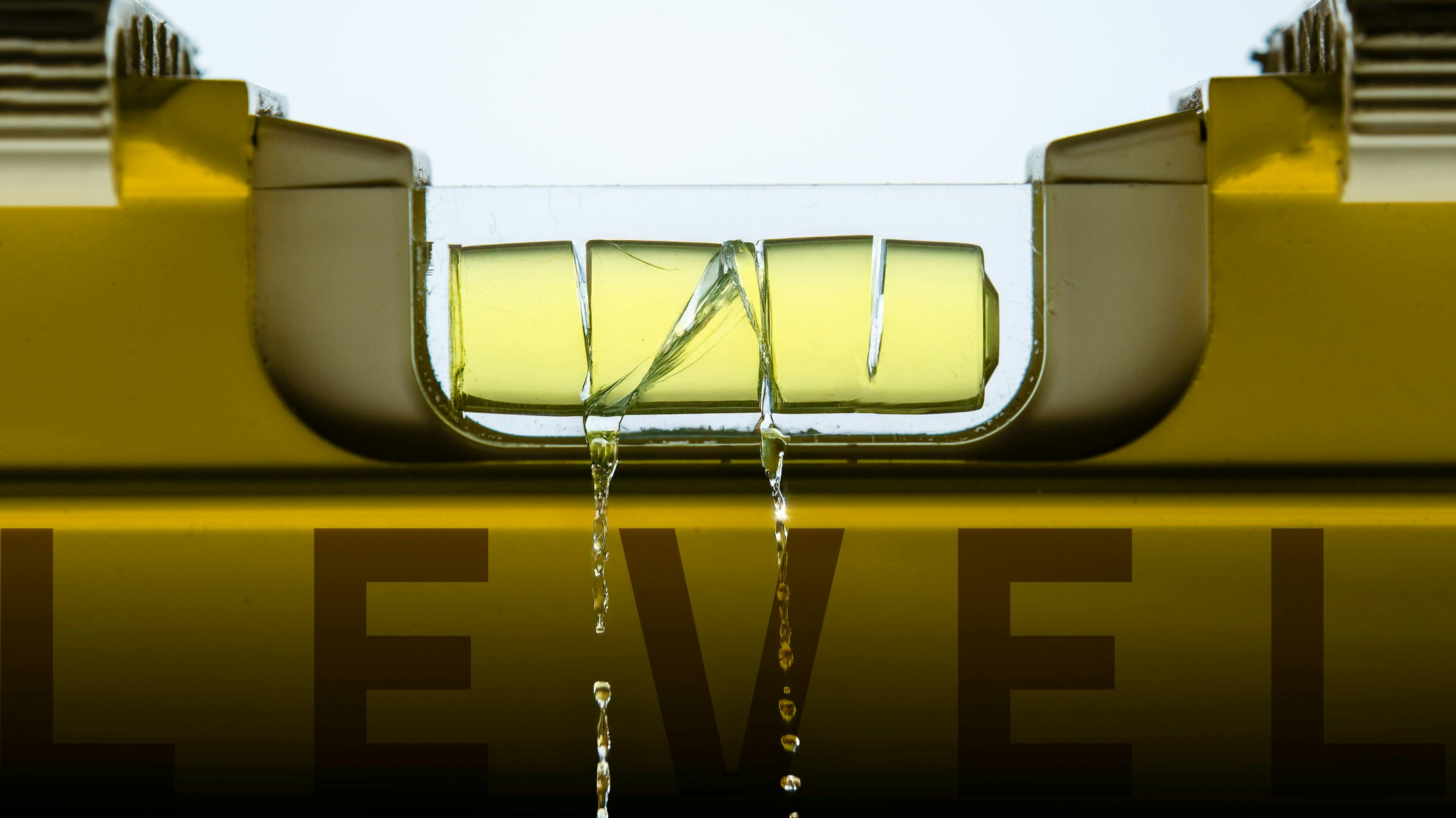 Fintech Startup Level Abruptly Shuts Down