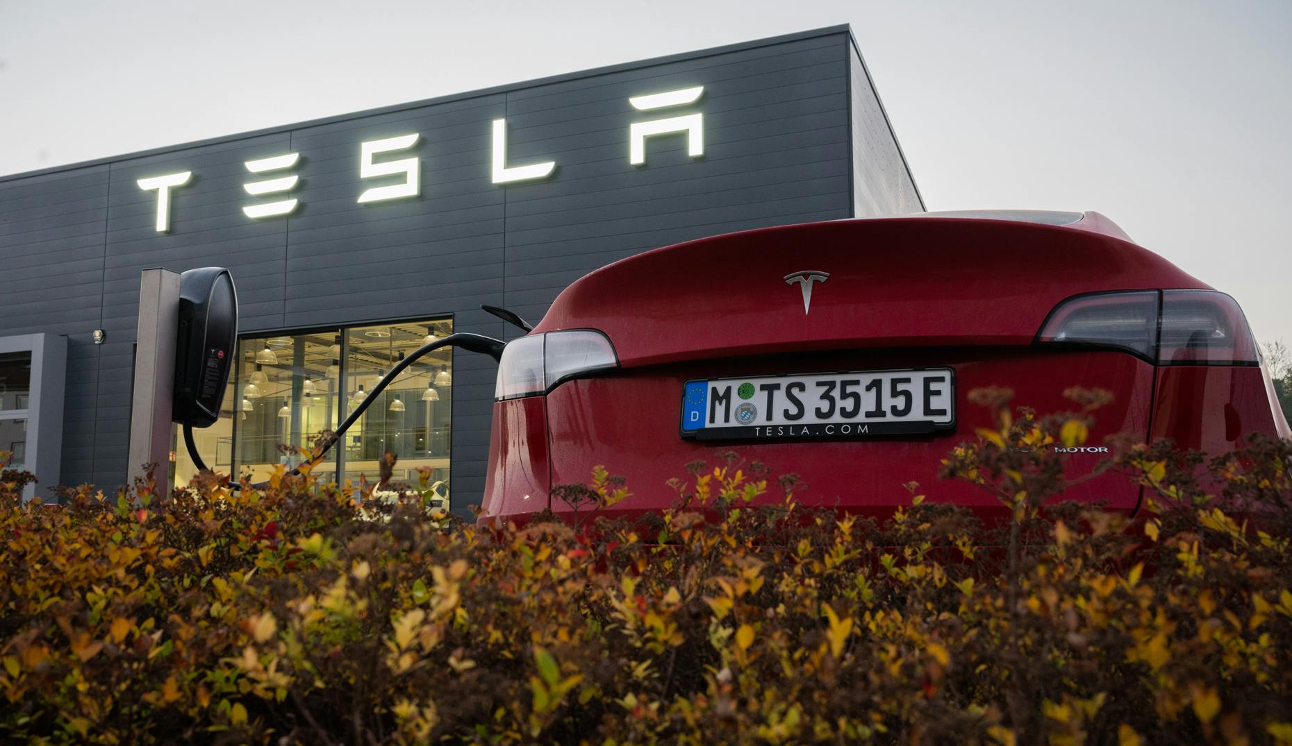 Europeans Spurn Tesla As Musk's Political Profile Rises