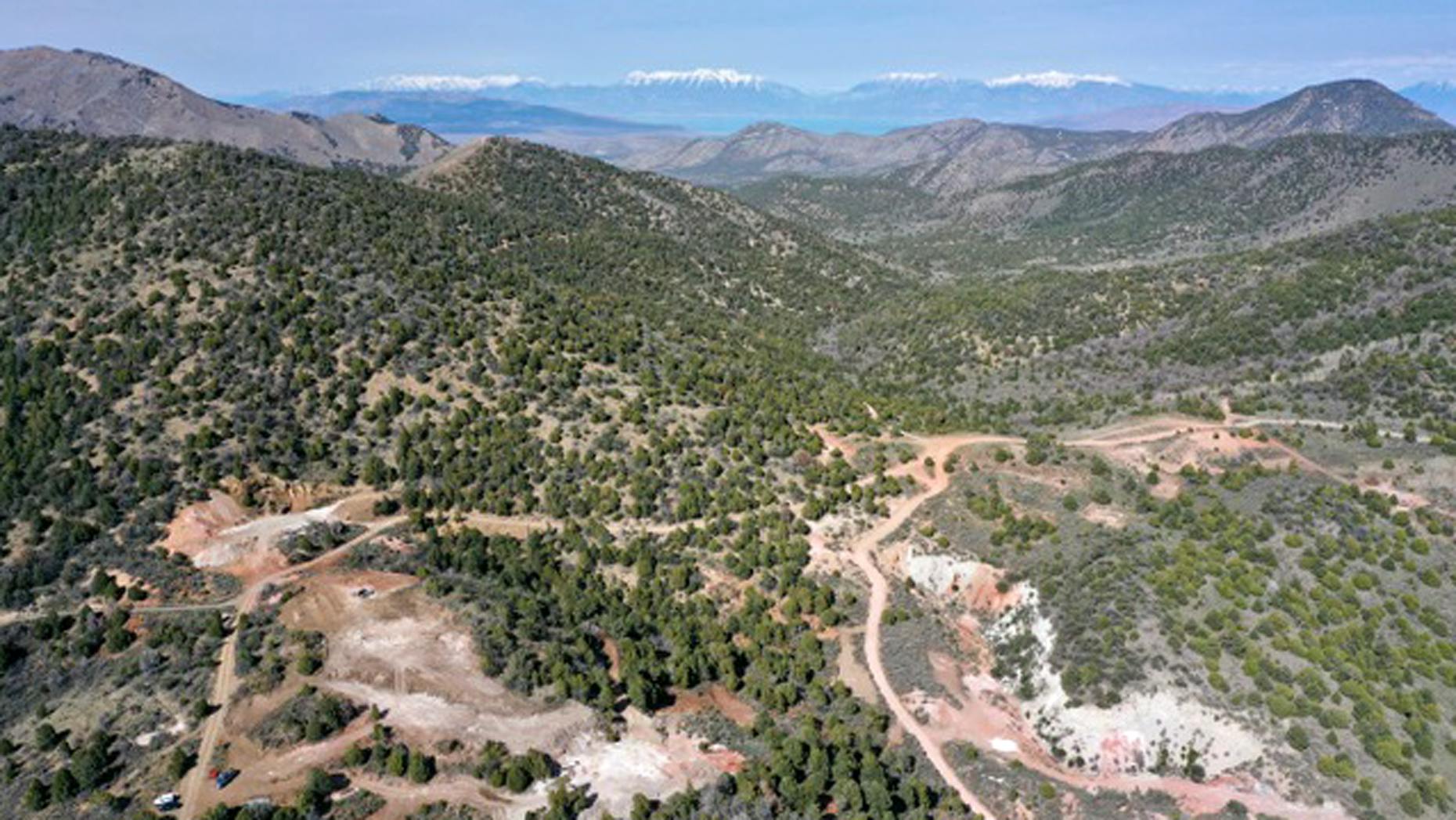 The Electric: Four New EV Battery Startups That Are Ignoring the Gloom Around Them