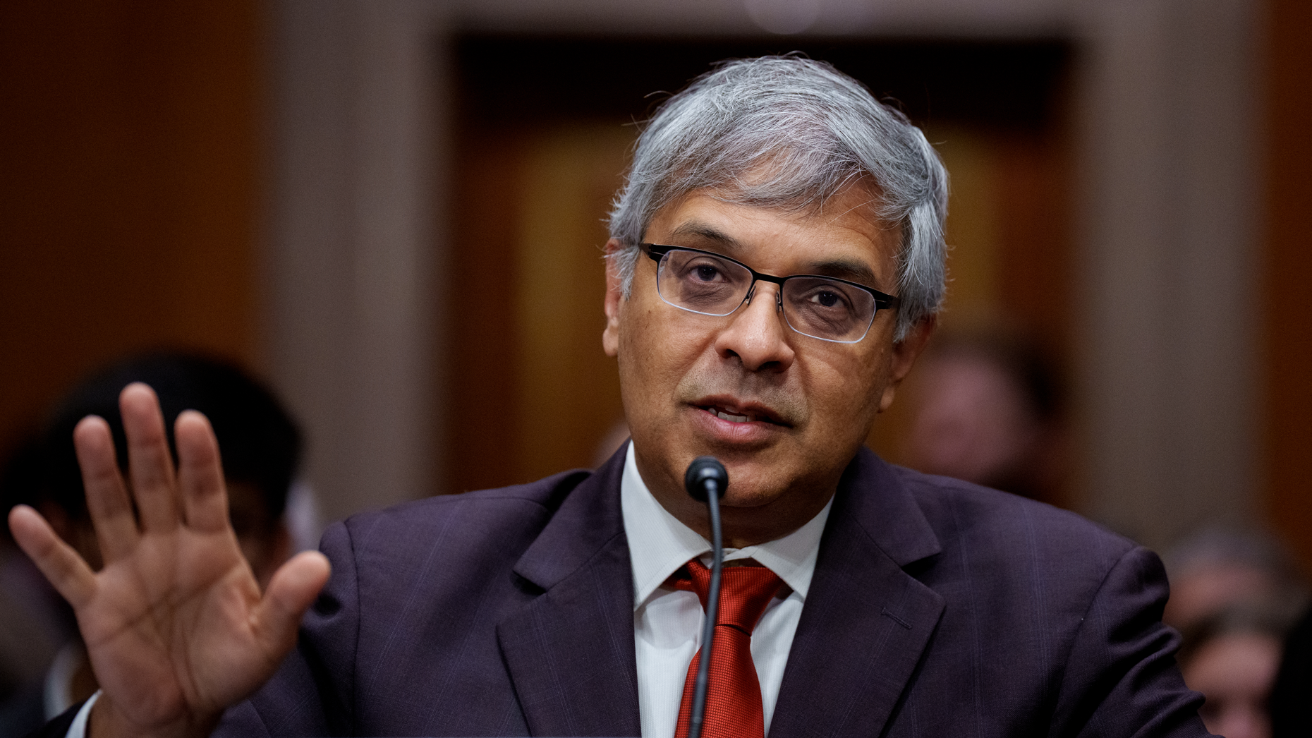 Jay Bhattacharya, President Trump's nominee to direct the National Institutes of Health, at his confirmation hearing today. Photo via Getty