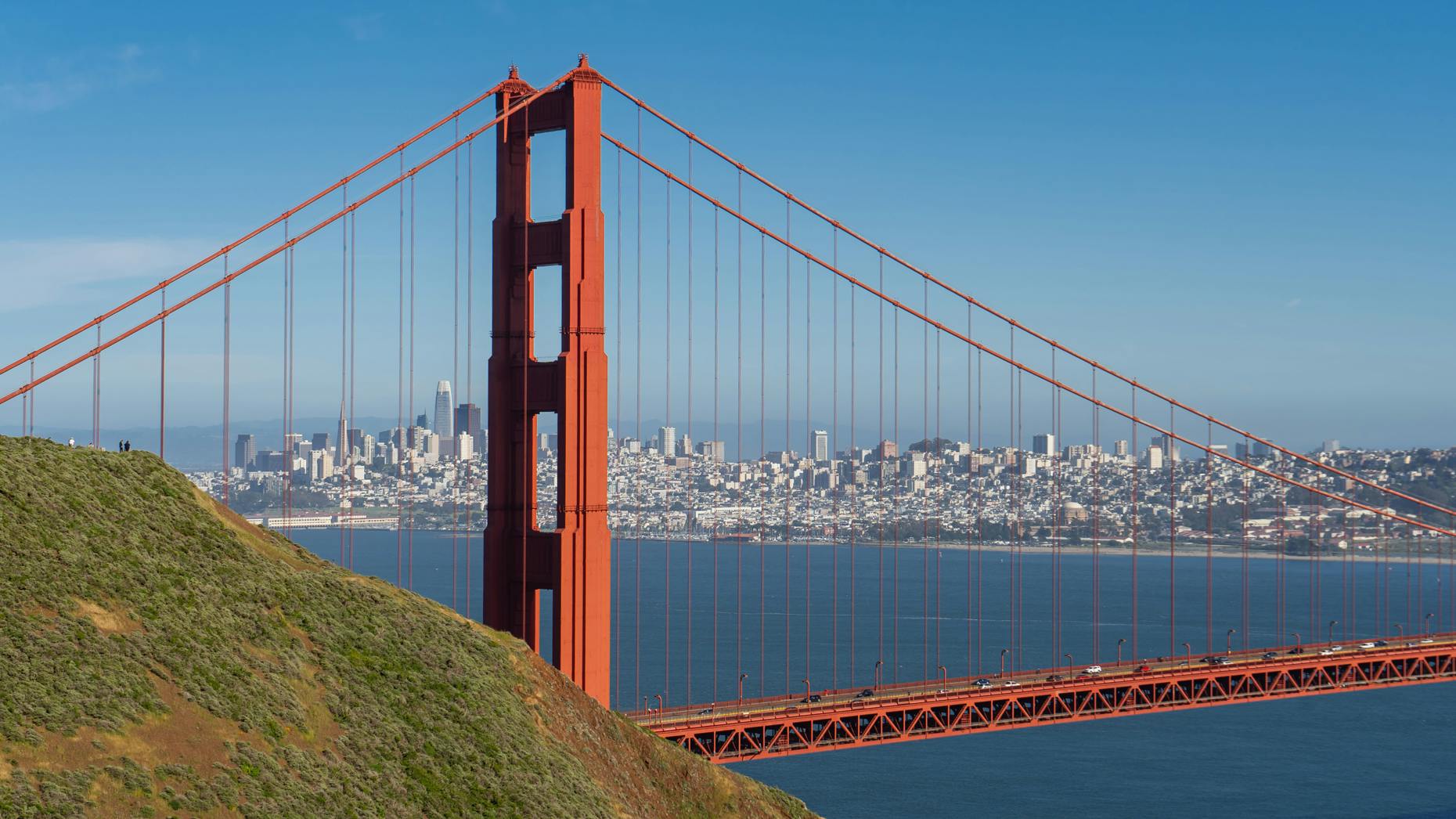 Pro Weekly: AI Venture Funding Extends Hot Streak