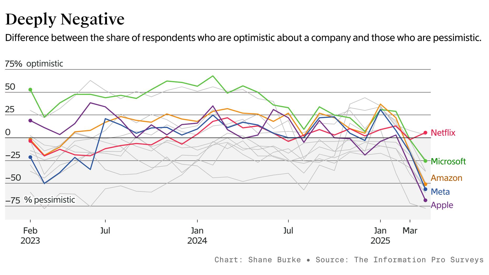 Netflix Defies Big Tech Pessimism