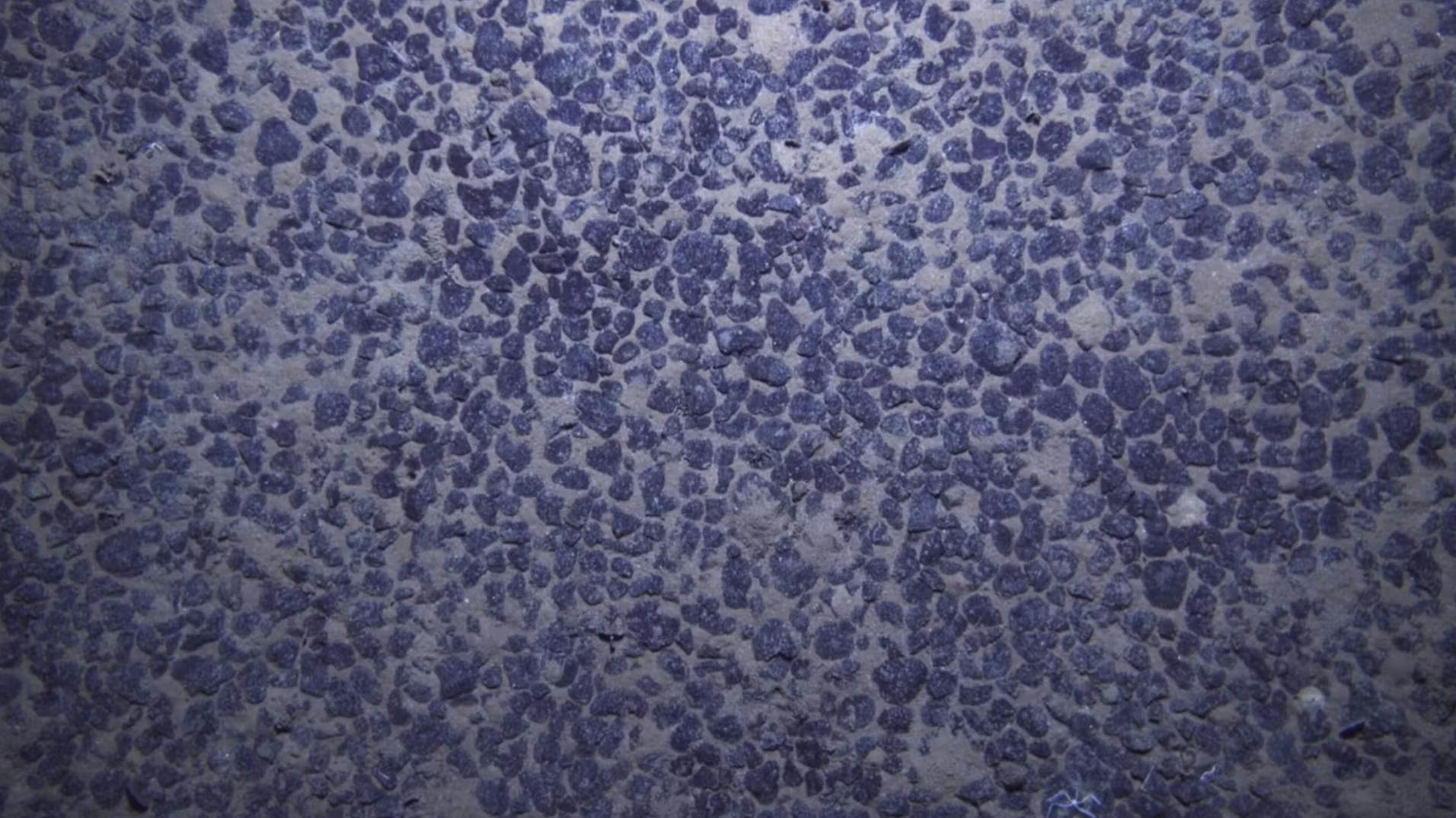 The Electric: In His First Months, Trump Has Built on Biden’s Battery Policy