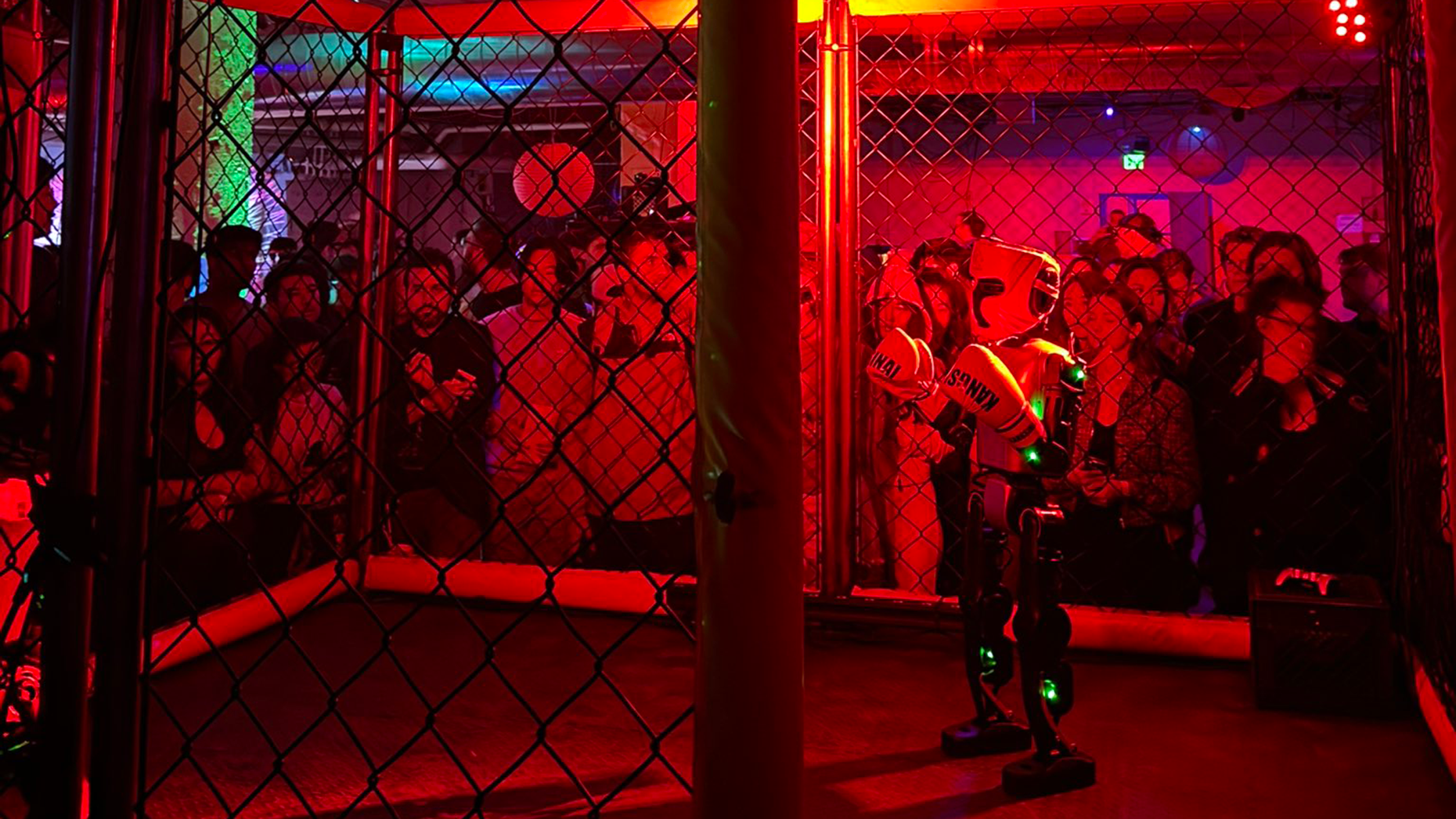 An underground robot fight in San Francisco. Photo by Sam D'Amico