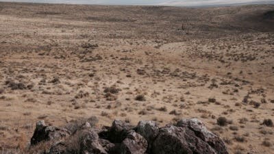 Exclusive From The Electric: The Trump Administration Is Seeking Stakes in More Critical Minerals Companies
