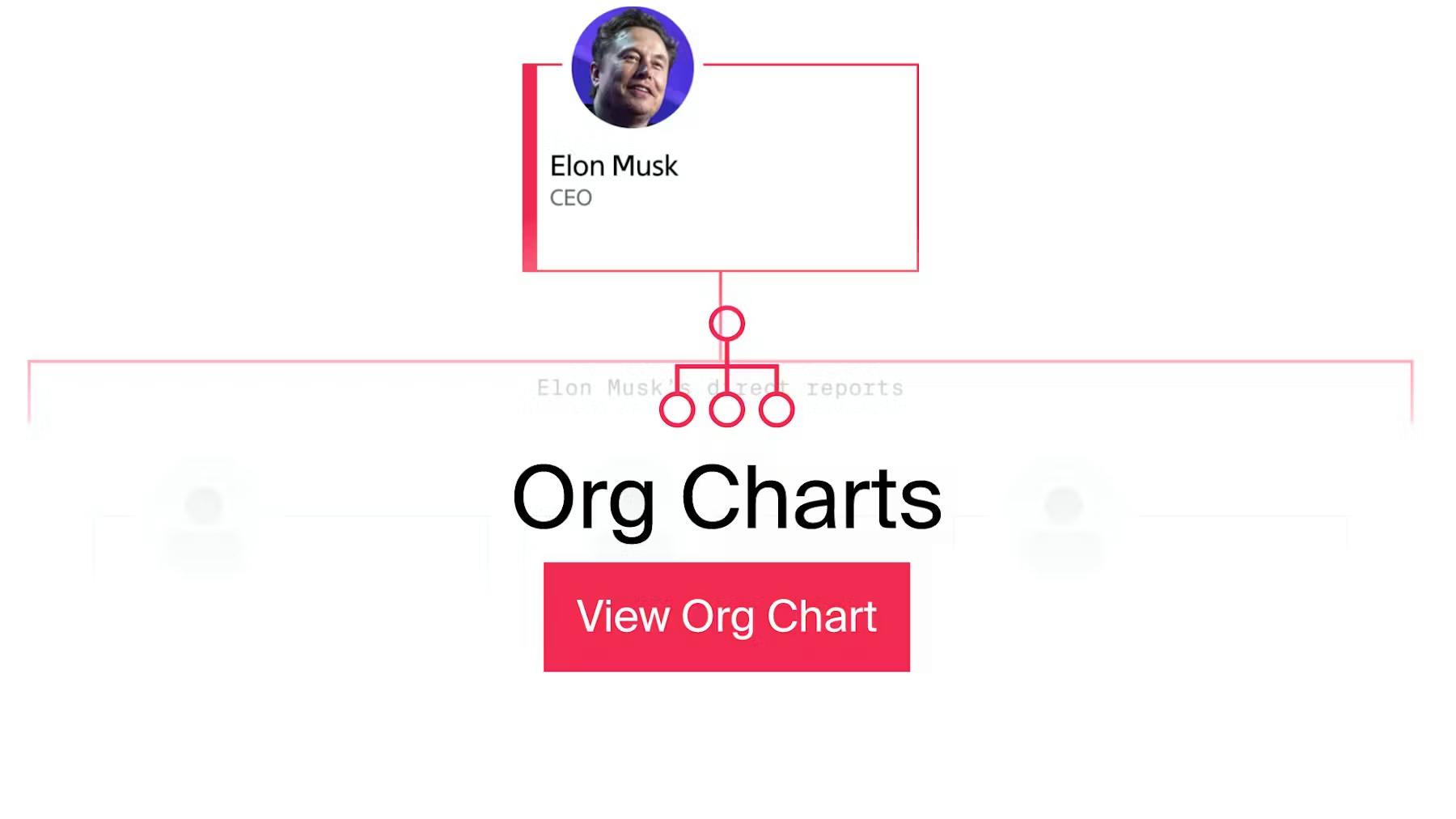 The People Running Elon Musk’s xAI