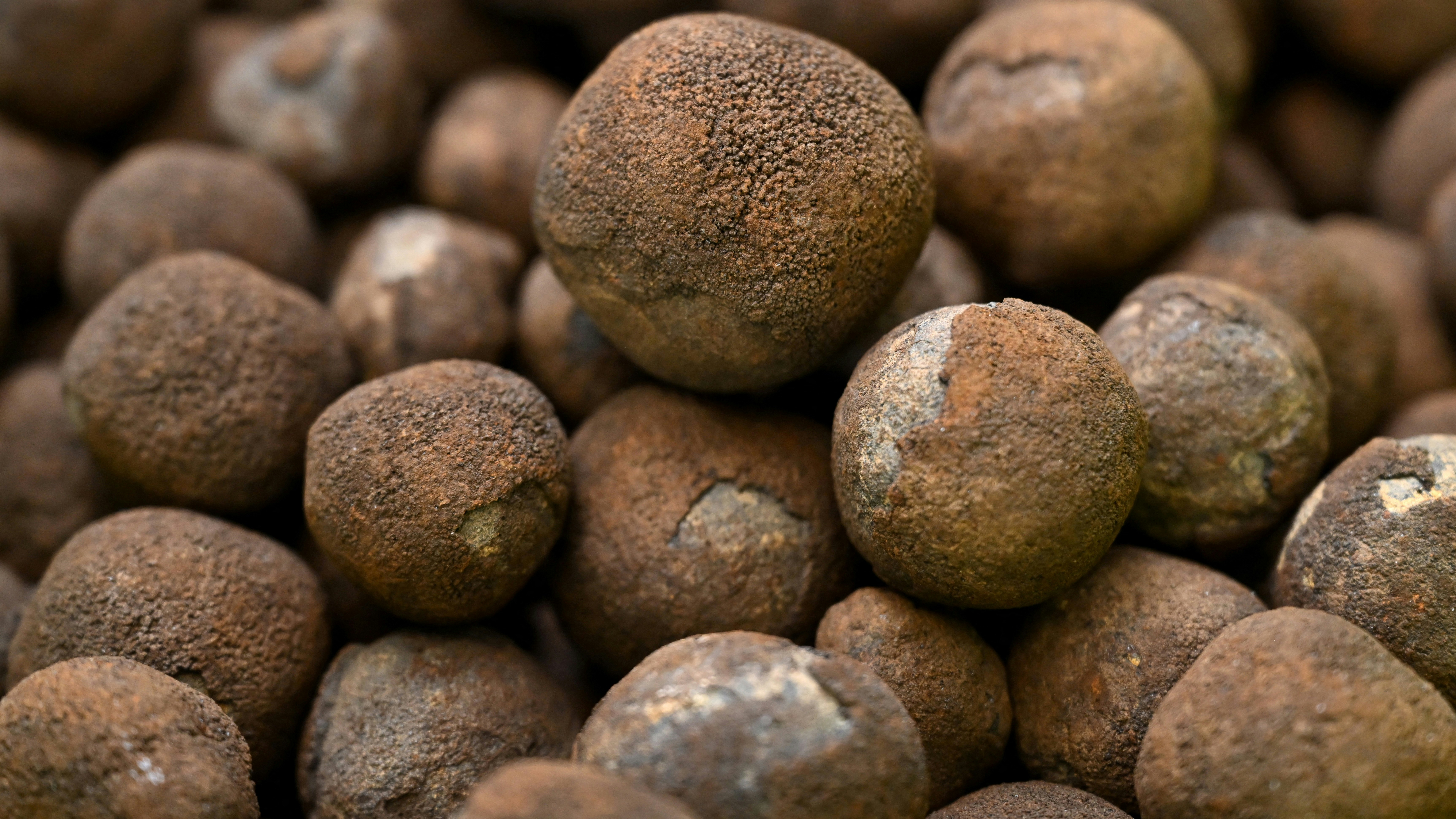 These metals-rich nodules carpet the Pacific seafloor 800 miles southeast of Hawaii.  Photo: William West/AFP/Getty