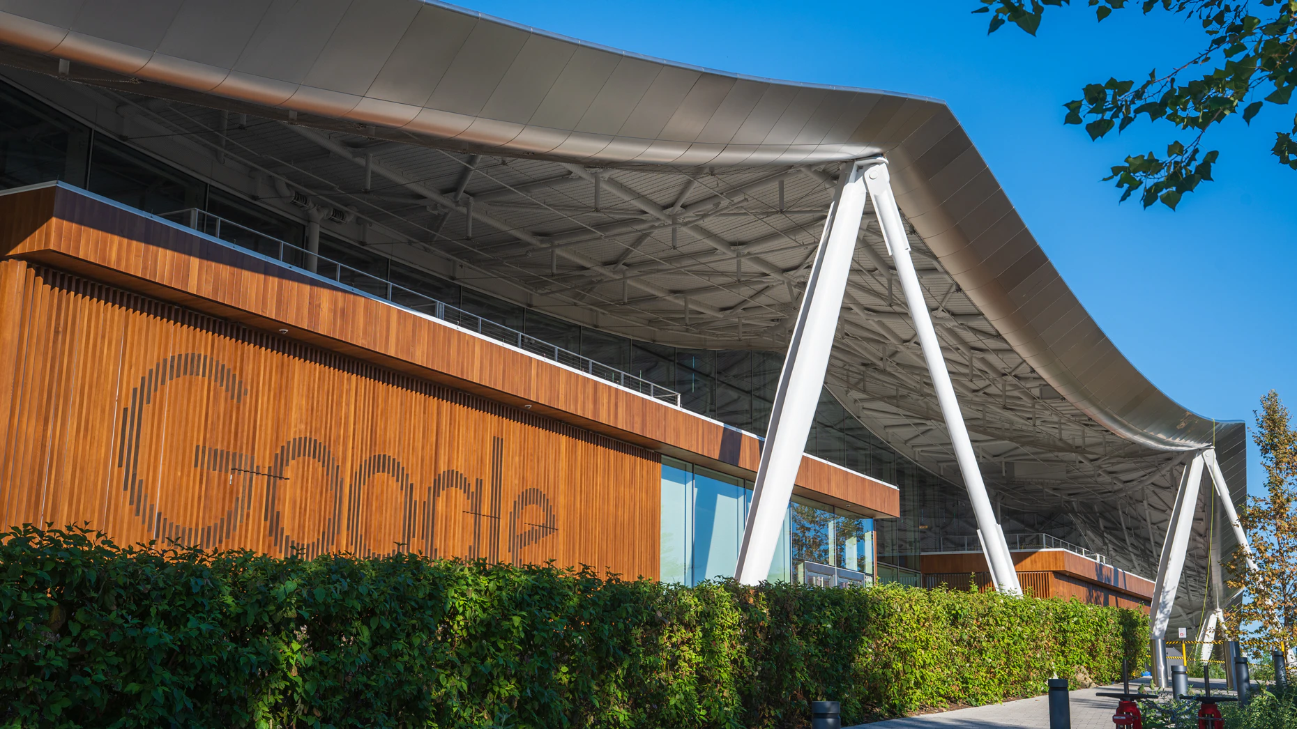 Zhang Weiguo/VCG/Getty Images.