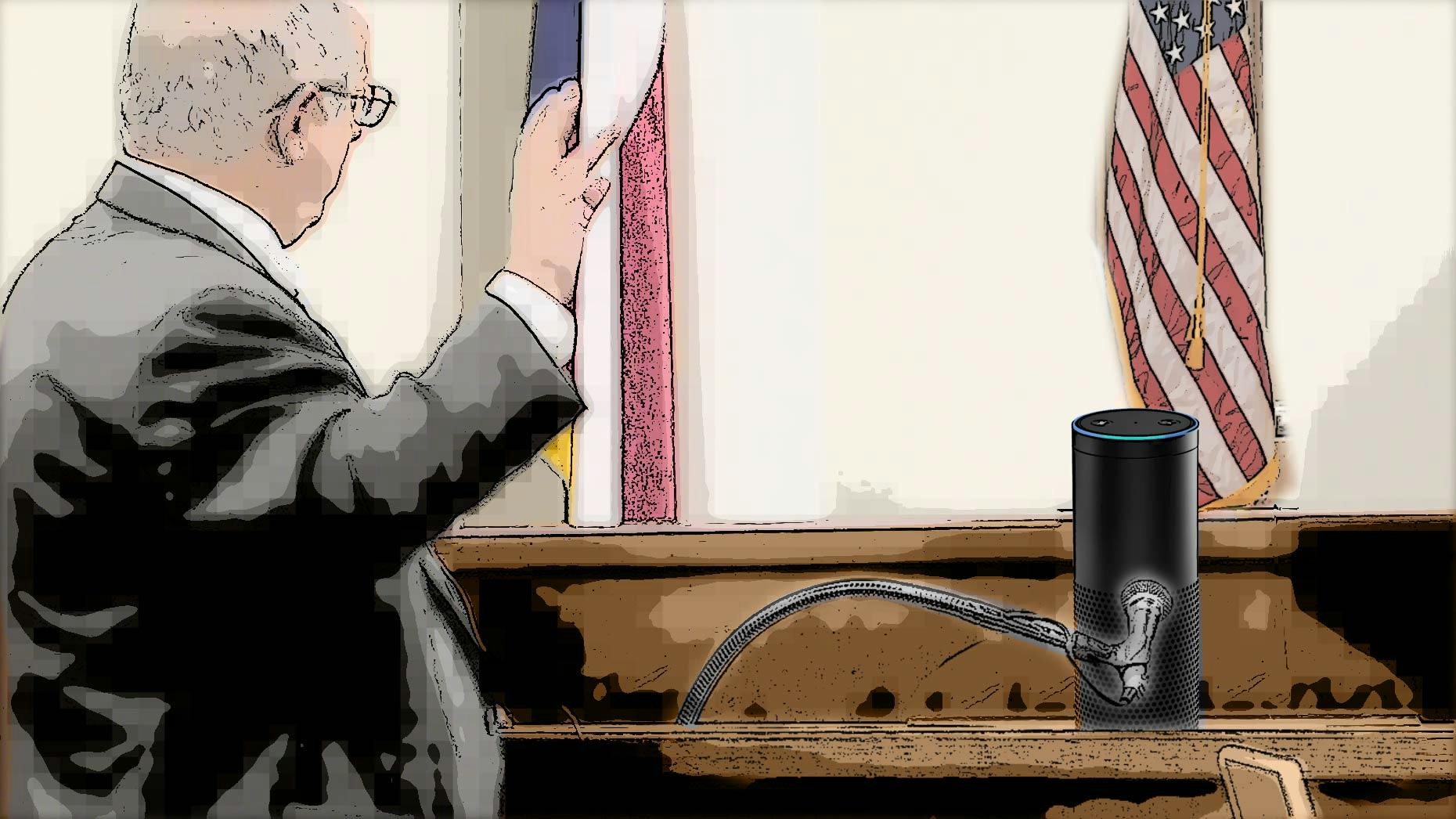 Amazon Echo and the Hot Tub Murder