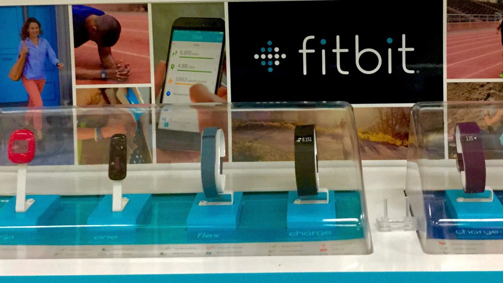 Fitbit products on display. Photo by Flickr/Mike Mozart.