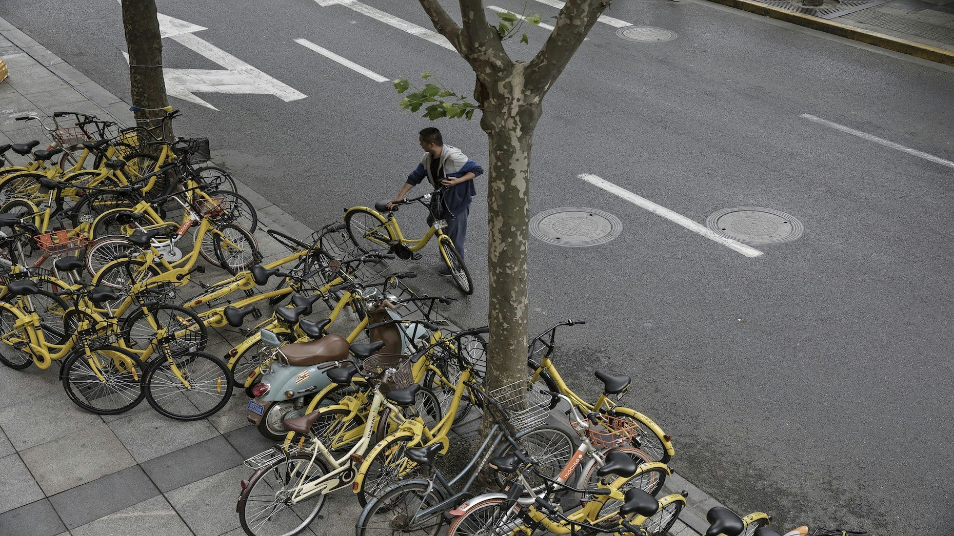 Ofo bikes on a sidewalk in Shanghai. Photo by Bloomberg