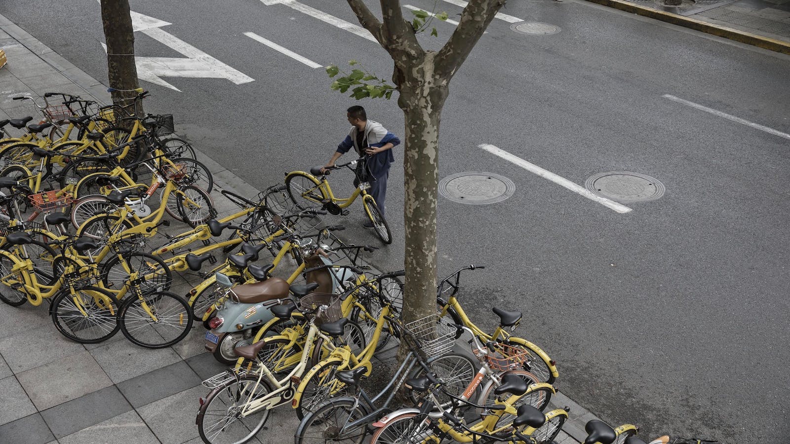 Ofo bikes on a sidewalk in Shanghai. Photo by Bloomberg