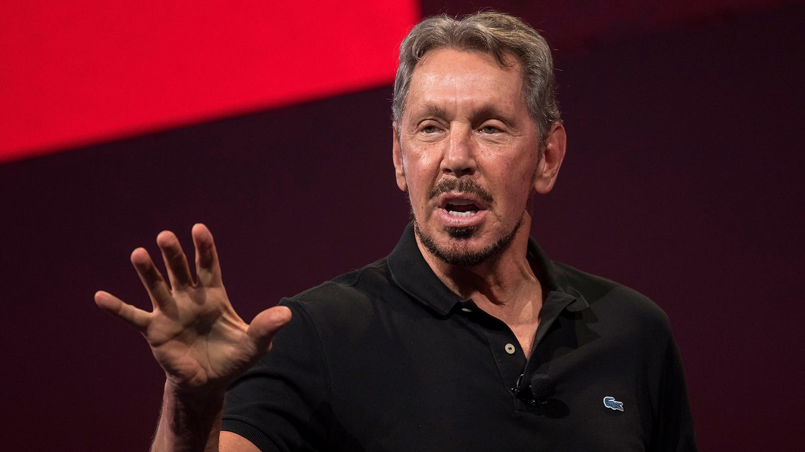 Oracle co-founder Larry Ellison. Photo: Bloomberg