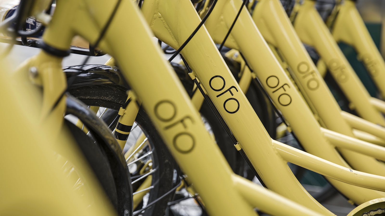 Ofo bikes parked in Shanghai last year. Photo by Bloomberg.