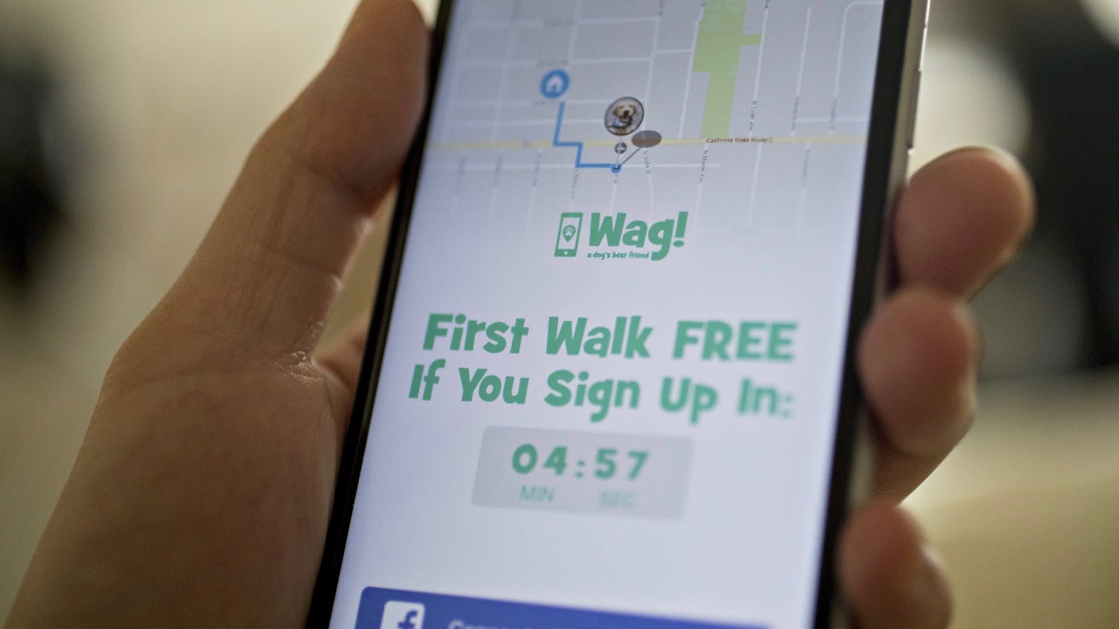 Wag's app. Photo by Bloomberg.