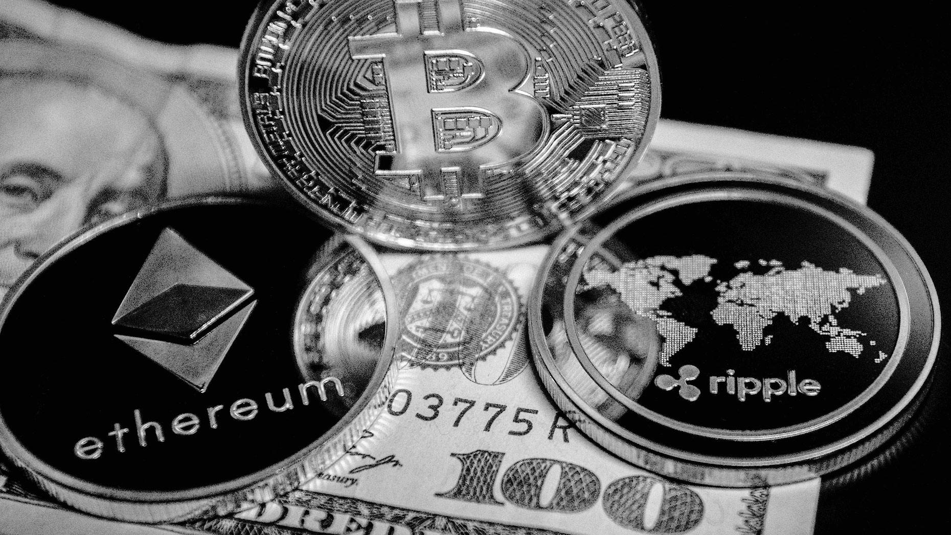 Tetras, Circle Executives Discuss State of Crypto Market