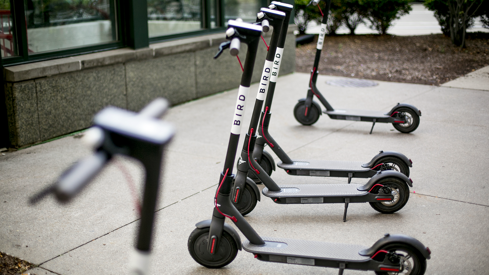 Bird scooters in Detroit. Photo: Bloomberg
