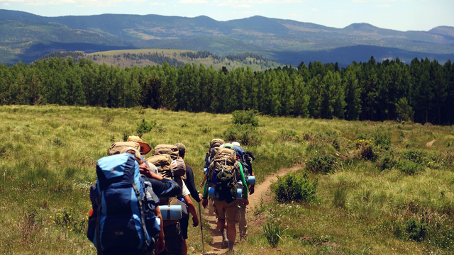 Airbnb, TripAdvisor and other companies are looking to build revenue from activities booking.