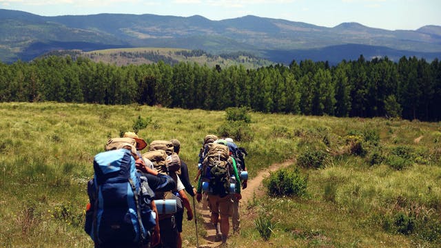 ‘Experiences’ Market Remains Small for Airbnb, Rivals