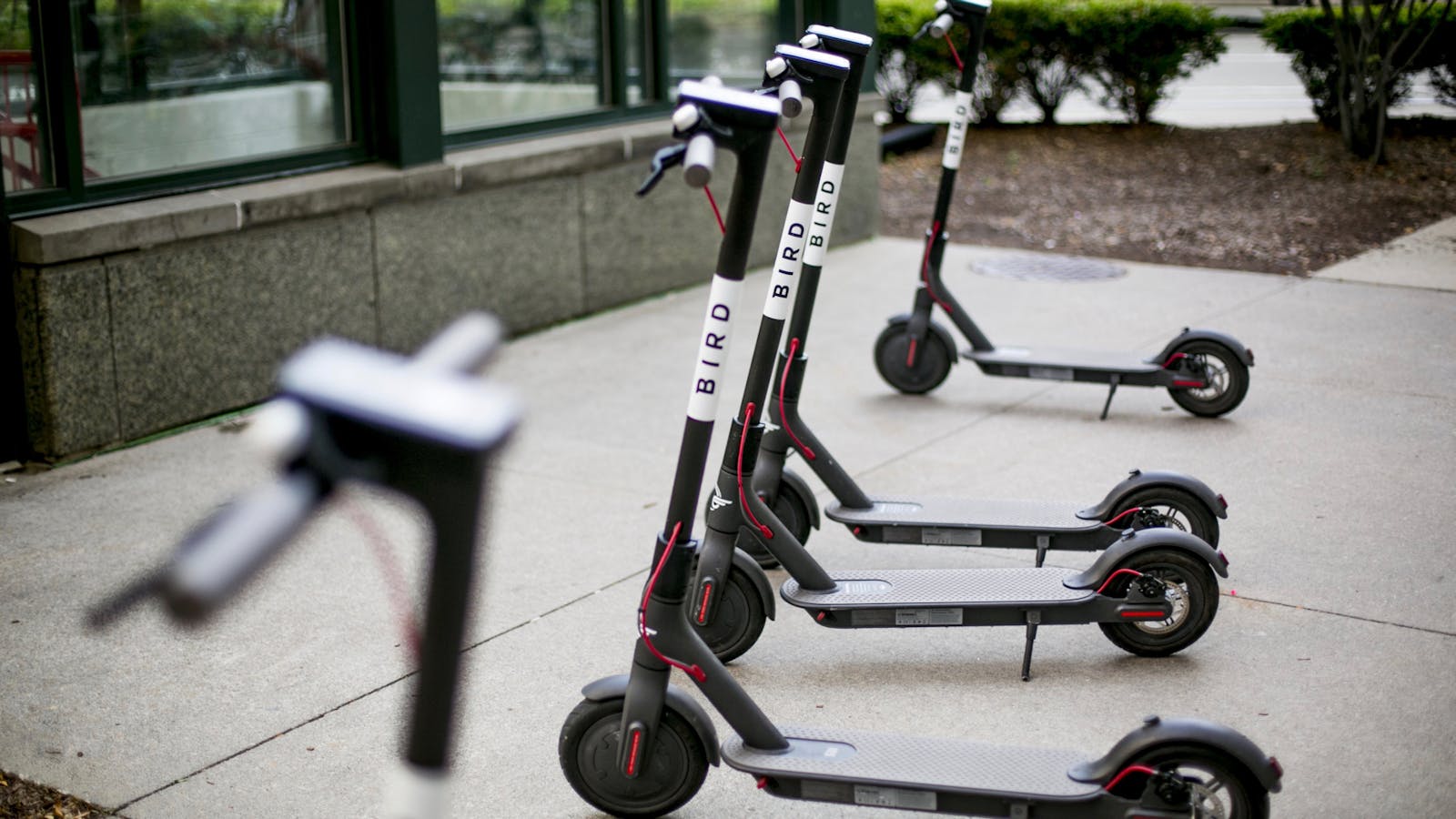 A collection of Bird electric scooters in Detroit. Photo by Bloomberg