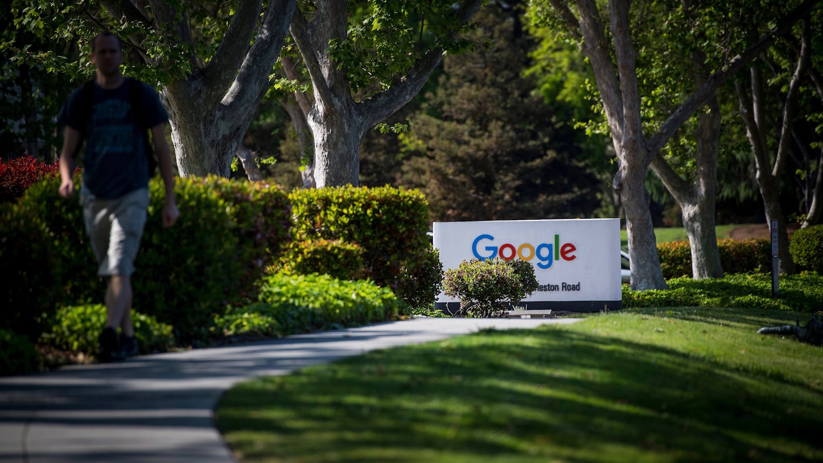 Google's Silicon Valley campus. Photo by Bloomberg.
