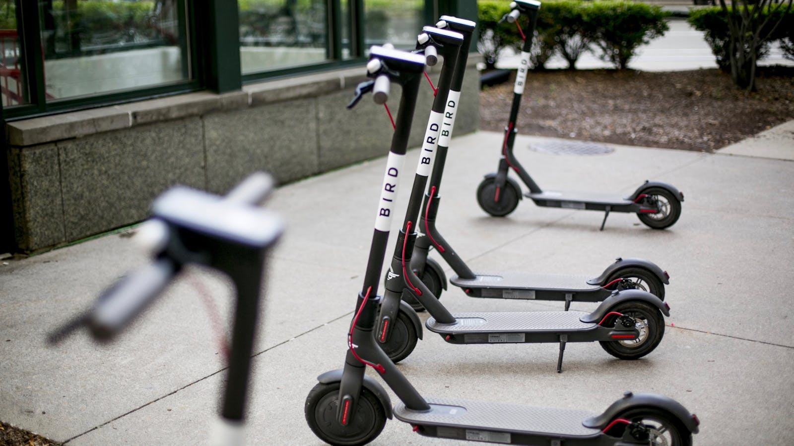Bird scooters parked in Detroit. Photo: Bloomberg