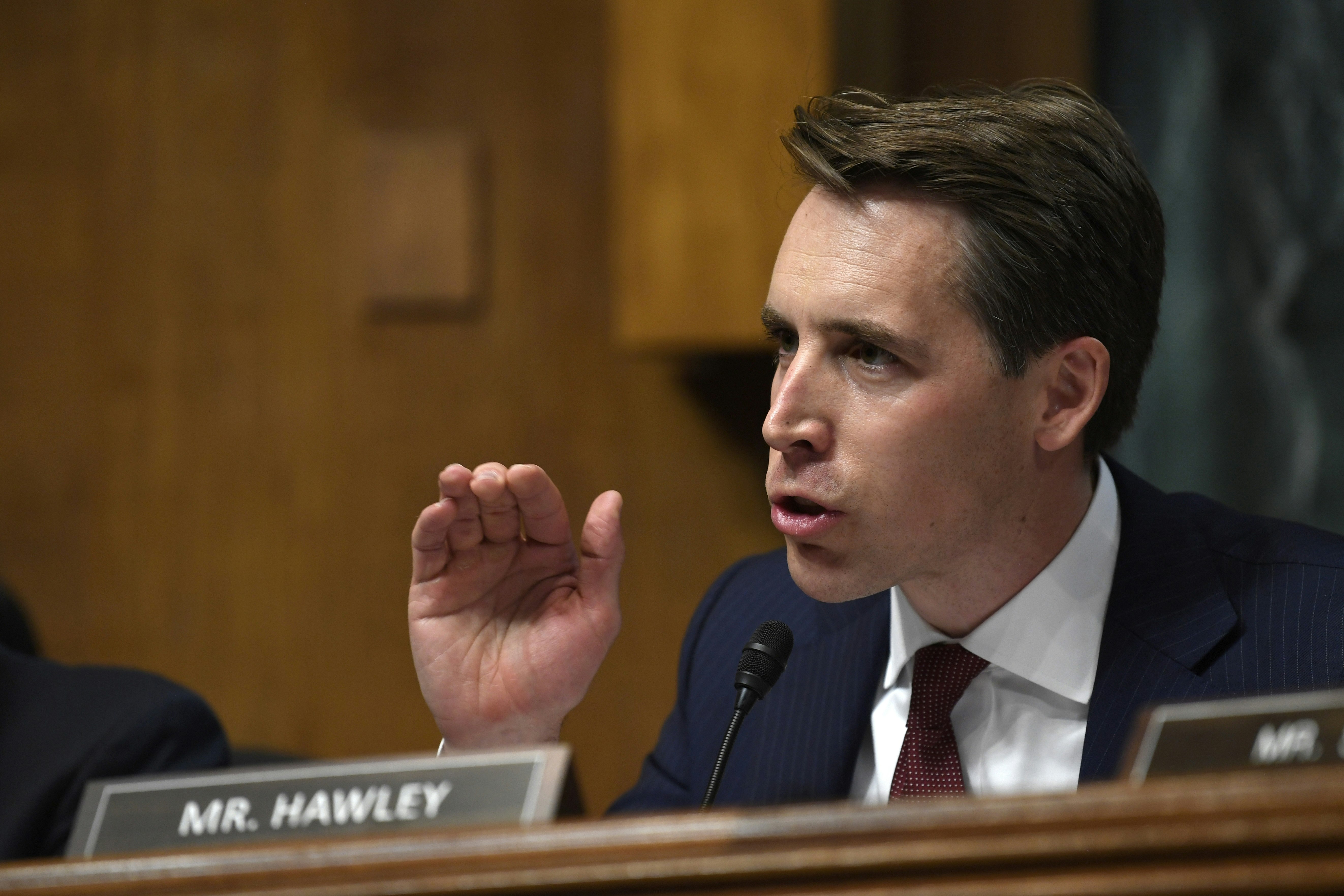Republican Sen. Josh Hawley, shown during a Judiciary Committee hearing on May 1, has called for greater FTC oversight of tech companies. Photo: AP