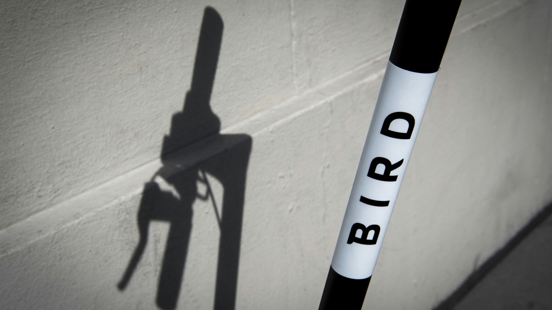 A Bird electric scooter. Photo by Bloomberg.