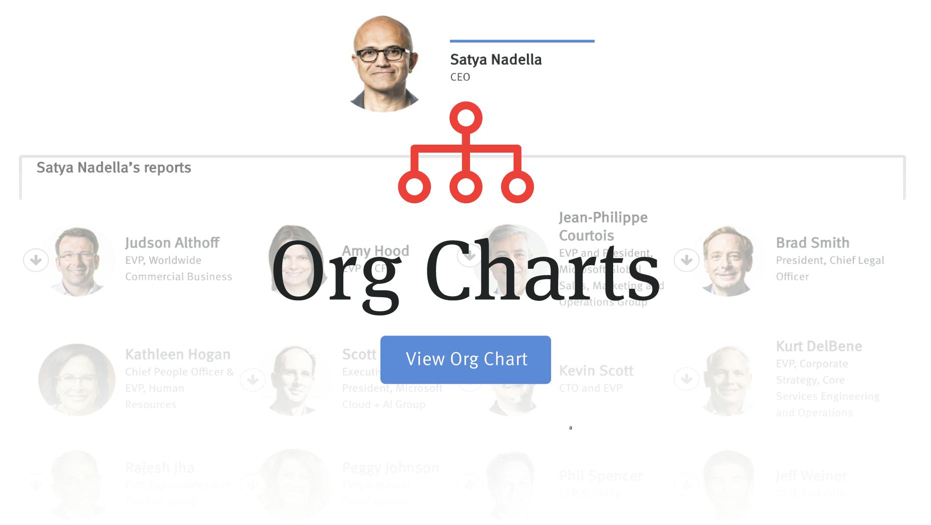 The People With Power at Microsoft