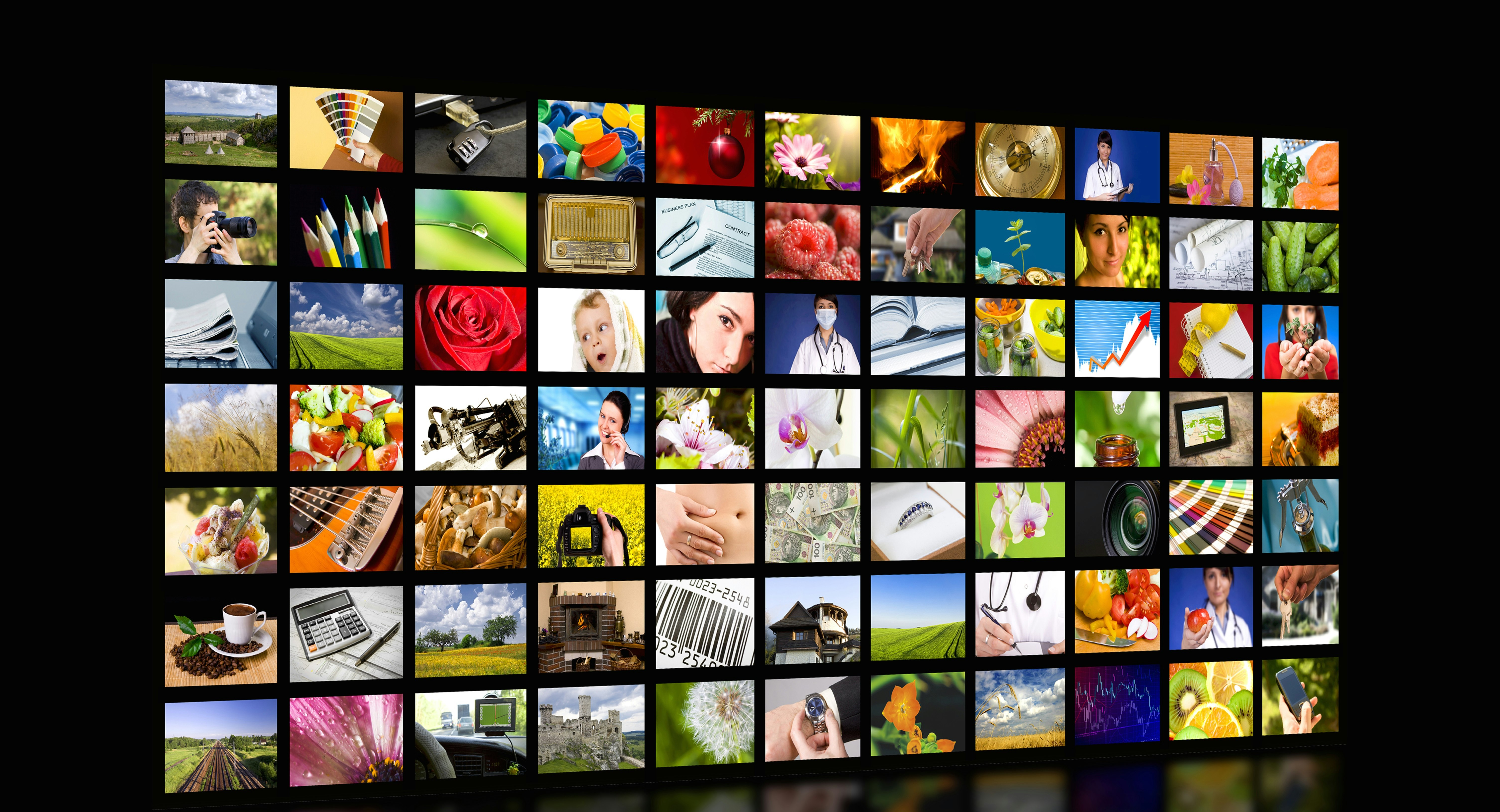 Photo by Shutterstock.