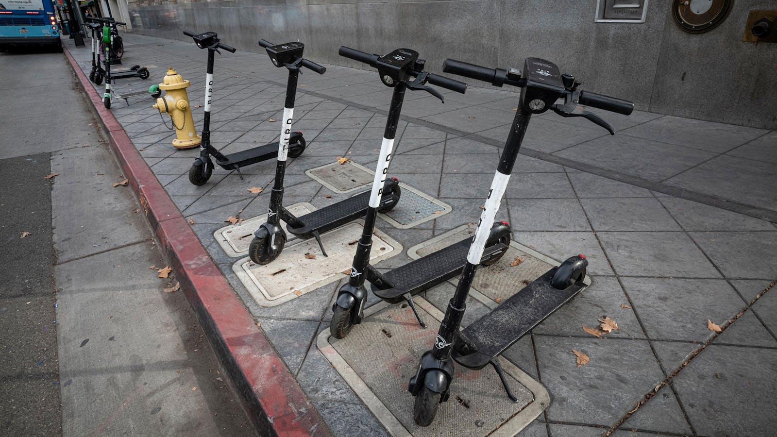 Bird and Lime scooters in downtown San Jose, Calif. Photo: Bloomberg