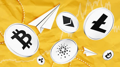 Crypto Global By Hannah Miller The Information