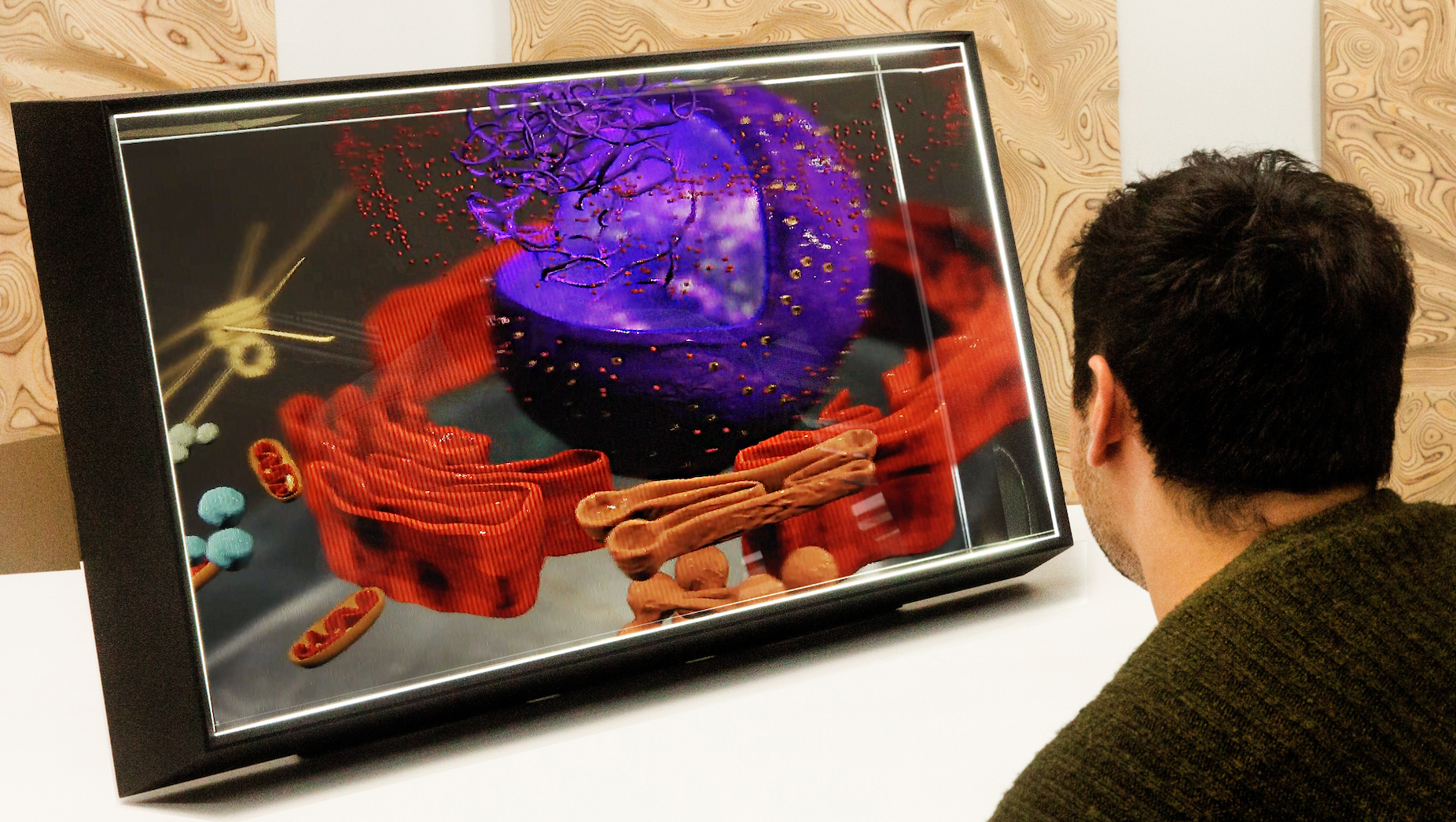 A 3D display. Photo by Looking Glass Factory.